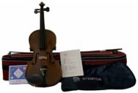 VIOLINO 4/4 CON CUSTODIA ED ARCO